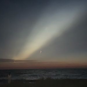 Meet your Posher, Mia